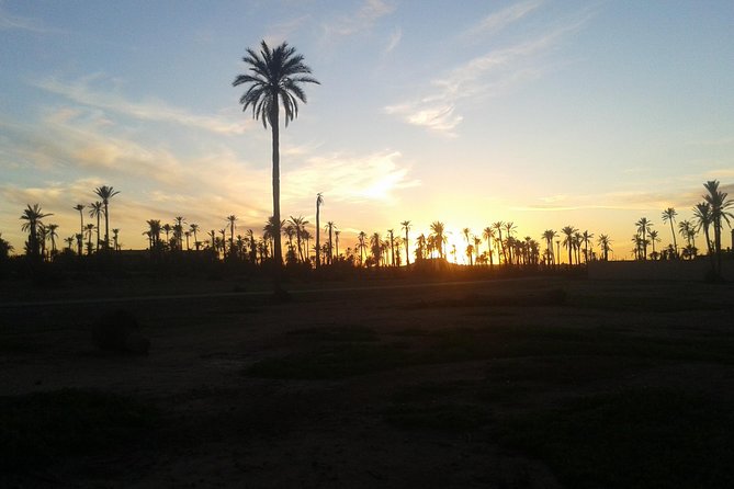 Sunset Camel Ride in the Palmeraie With Transfers - Good To Know