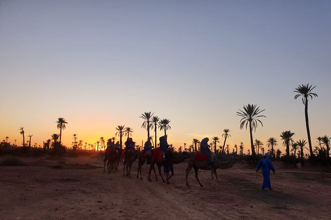 Sunset Camel Ride Marrakech Palmeraie - Pricing and Booking