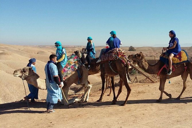 Sunset Camel Ride Tour In Agafay Desert With Dinner - Transportation and Infant Seats