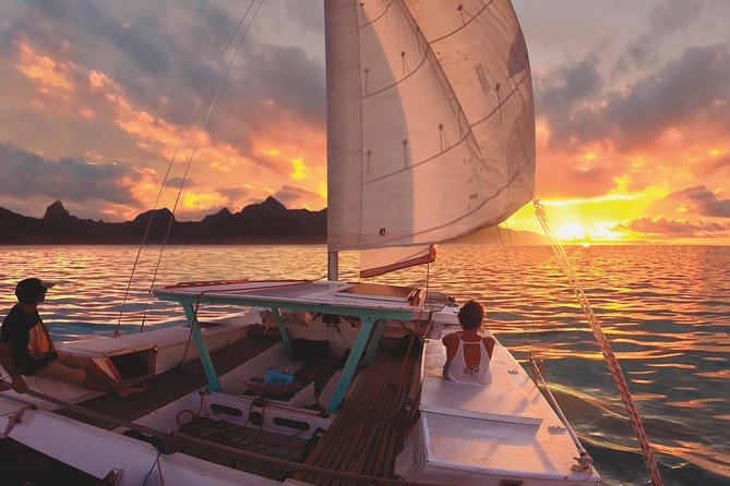 25 Best Boat Tours And Cruises In Moorea