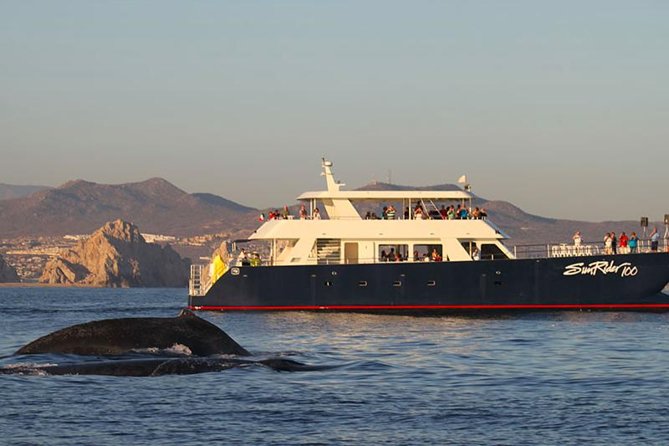 Sunset Dinner Cruise in Los Cabos