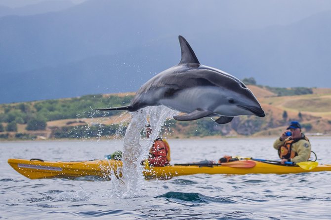 Sunset Evening Kayaking Tour - Kaikoura