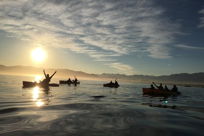Sunset Kayak Tour in Kaikoura