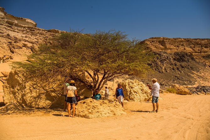 Sunset Oasis Desert Experience in El Gouna and Hurghada - Good To Know