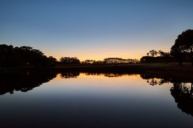 Sunset Wine Tasting Experience at Passel Estate