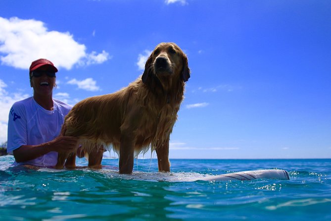 Surf Lessons on the North Shore of Oahu - Good To Know