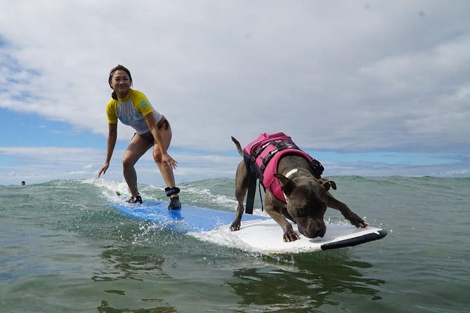 Surf With a Service Animal