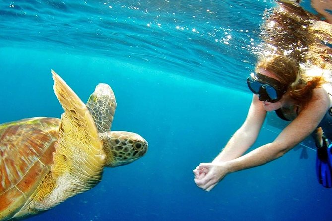 Surin Islands - the Snorkeling Experience From Phuket - Good To Know