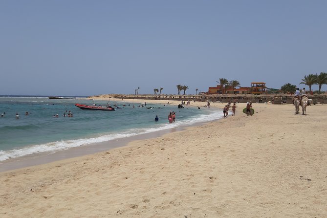 Swim Alongside Sea Turtles in Abu Dabbab, Marsa Alam  - Safaga - Good To Know