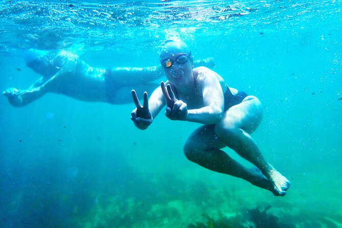 Swim With the Queen of the English Channel in New South Wales - Good To Know