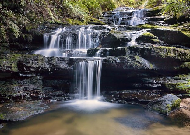 Sydney City and Blue Mountains in One Day Private Tour