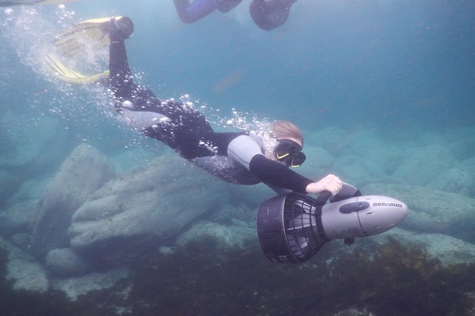 Sydney Underwater Scooter Tours