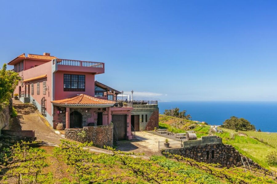 Tacoronte: Guided Winery Tour With Wine and Cheese Tastings - Good To Know