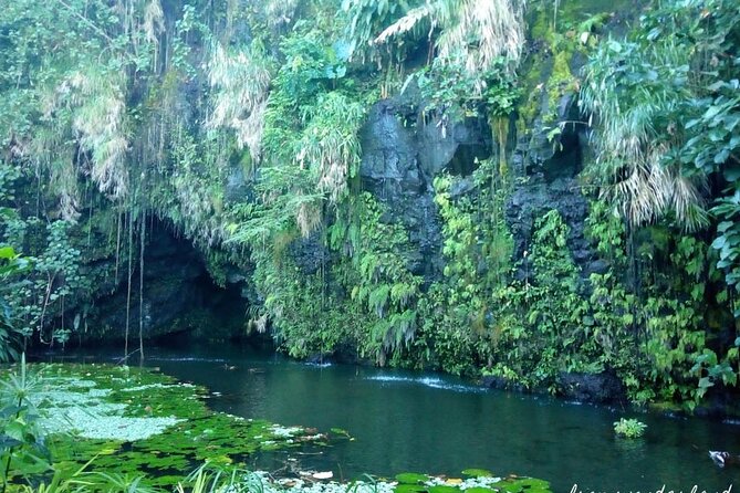 Tahiti Big Island Tour