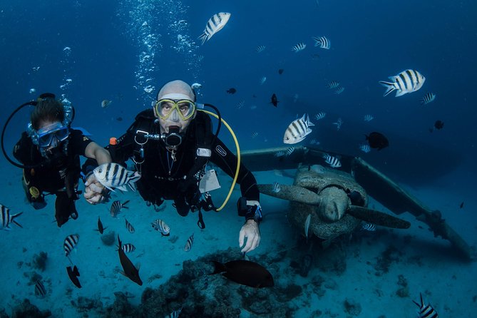 2 Best Scuba Diving Experiences In Papeete