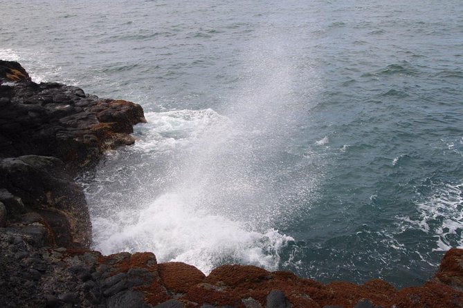 Tahiti: Venus Point, Taharaa View Point and Vaipahi Gardens  – Papeete