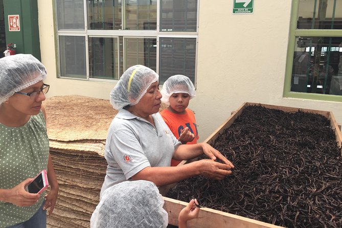 Tajin Ruins Day Trip and Vanilla Factory Experience - Good To Know