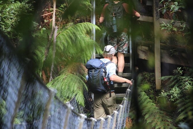 Takayna / Tarkine Wilderness Highlights Hiking Tour - 5 Days - Good To Know