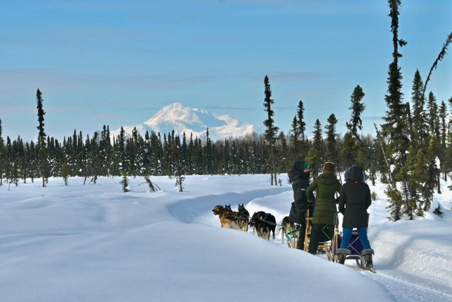 Talkeetna: Winter Dog Sled Tour Morning or Night Mush! - Inclusions and Restrictions