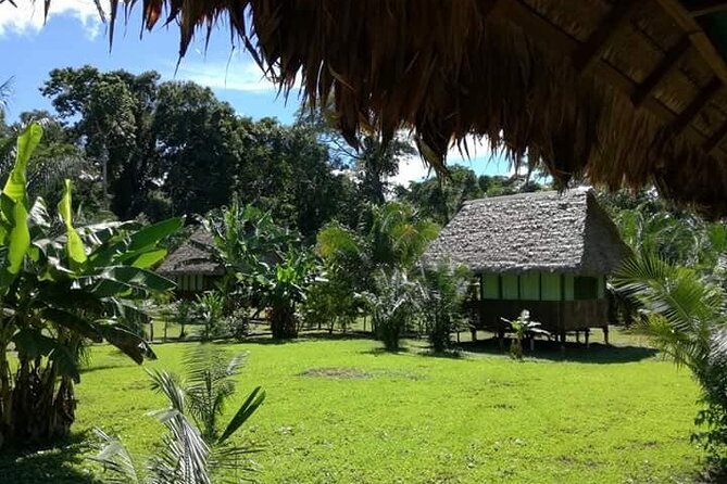 Tambopata National Reserve Tour 4 Days From Cusco - Accommodation and Transportation