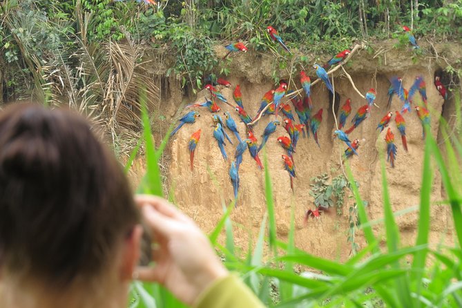 25 Best Tours In Puerto Maldonado