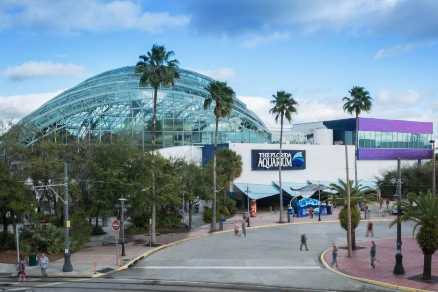 Tampa Bay CityPASS: Save Over 52% at 5 Top Attractions