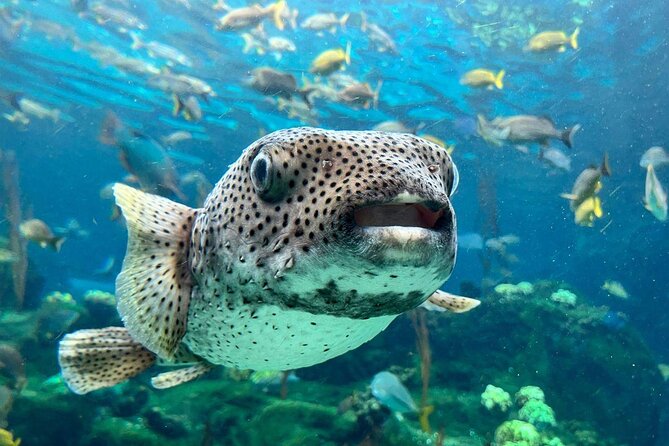 Tampas ZooQuarium Admission