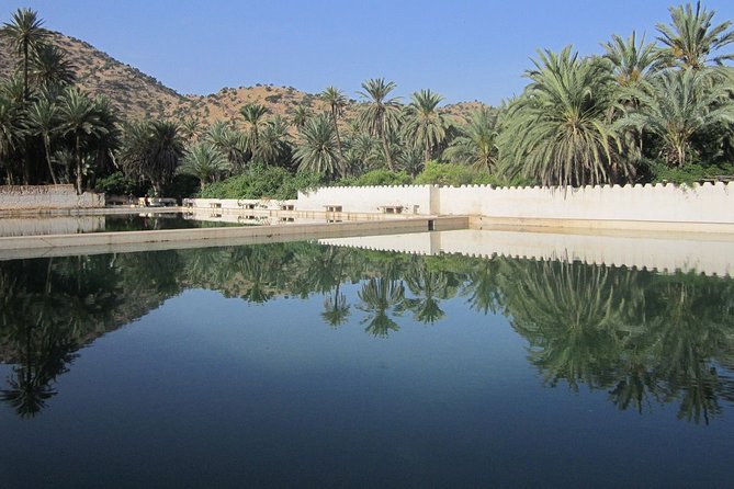 Taroudant Tiout Excursion 1 Day With Homestay Lunch From Agadir - Overview of Taroudant Tiout Excursion