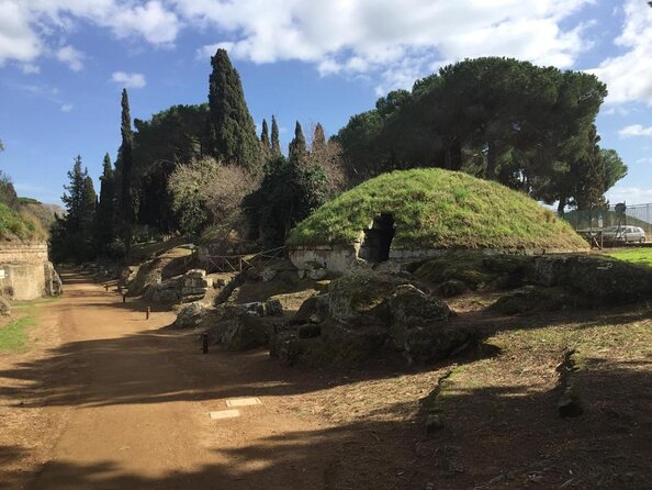 Tarquinia and the Etruscan Masterpieces: Necropolis and Museum – Private Tour - Good To Know