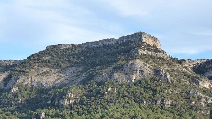 Tarragona, Ruins & Priorat Private Tour - Hotel Pick up From Salou/Tarragona