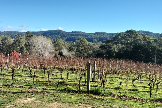 Tasmanian Wine & Food Trail
