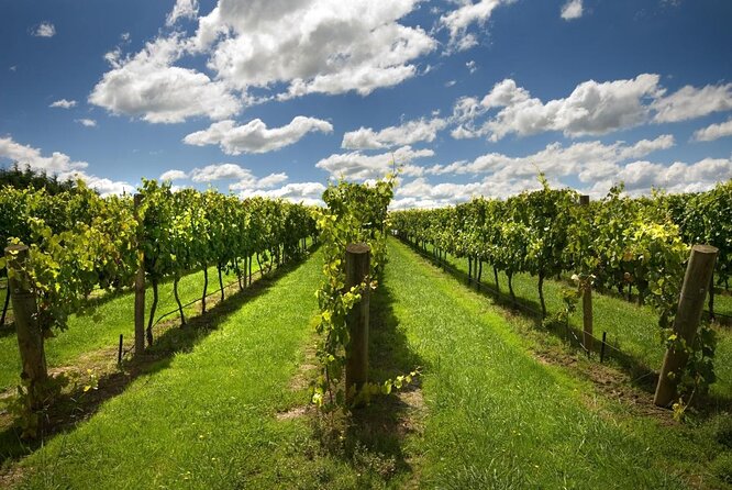 Taste of the Highlands: Pinot Masterclass and Gourmet Lunch With Wine Pairings - Good To Know