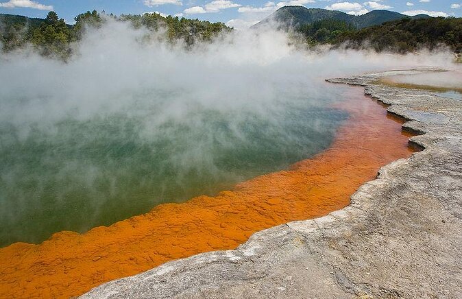 Tauranga - Wia O Tapu Wonderland & Rotorua Geysers: Private Tour
