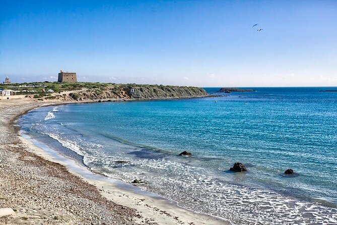 Taxi Boat Santa Pola to Tabarca Island - Traveler Experience