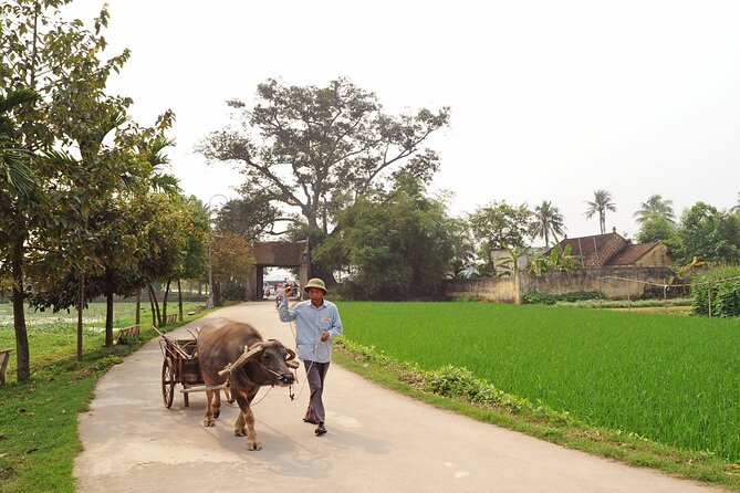 Tay Phuong Pagoda and Duong Lam Ancient Village With Biking - Tour Highlights