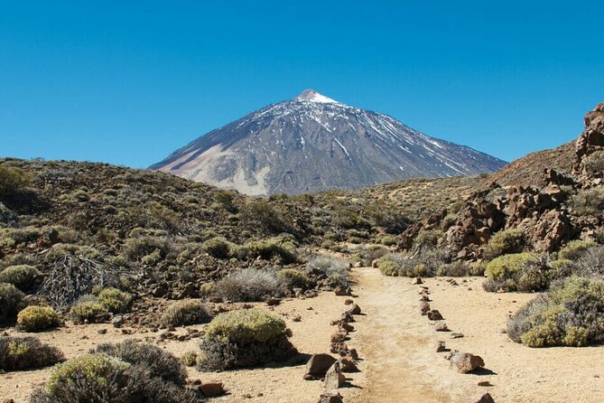 Teide National Park Full Experience With Professional Guide - Whats Included