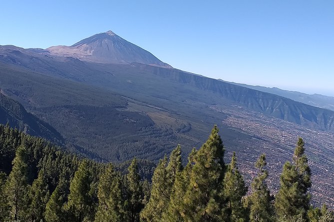 Teide National Park Small-Group Hiking Tour - Tenerife - Good To Know