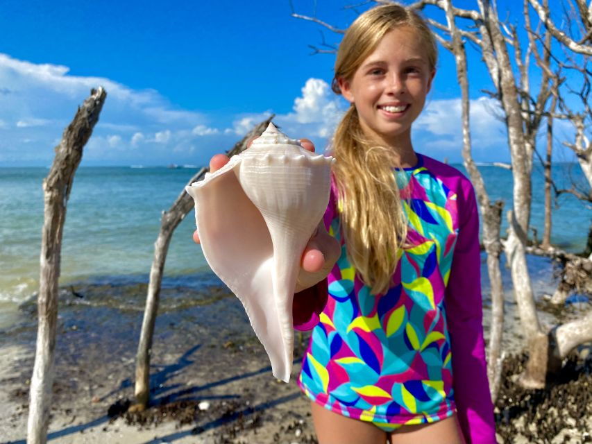 Ten Thousand Islands: 4-Hour Private Shelling Tour - Good To Know
