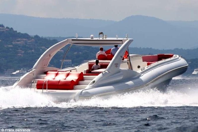 Tenerife 3-Hour RIB Whale and Dolphin Watching Cruise
