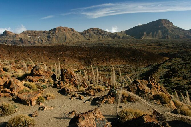 Tenerife Guided Hiking Tour