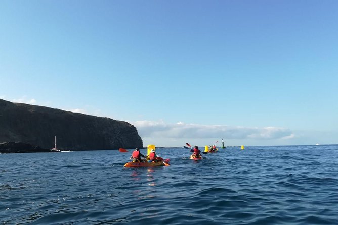 Tenerife Kayaking and Snorkeling Trip With Turtle Spotting - Good To Know