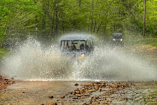 2 Best Guided Tours In Franklin