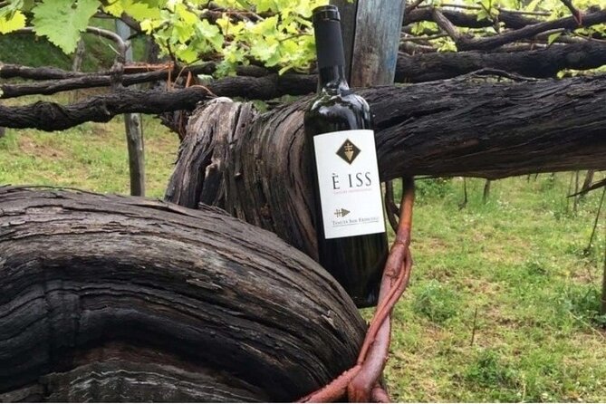 Tenuta San Francesco Wine Tasting - Good To Know
