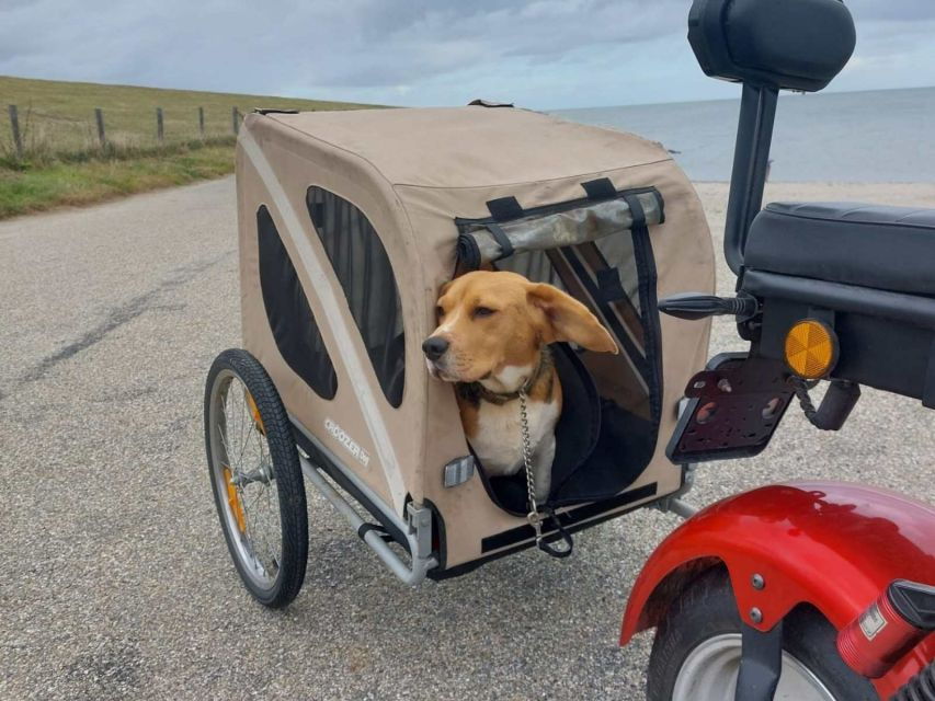 Texel: E-Scooter Rental