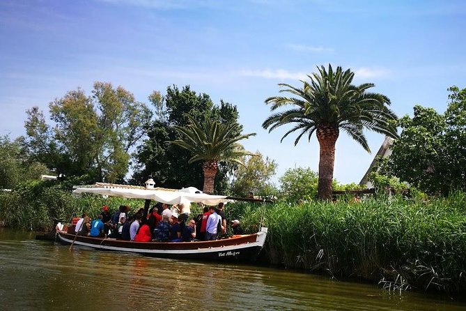 The Albufera Natural Park Private Tour From Valencia With Transport - Overview and Activities