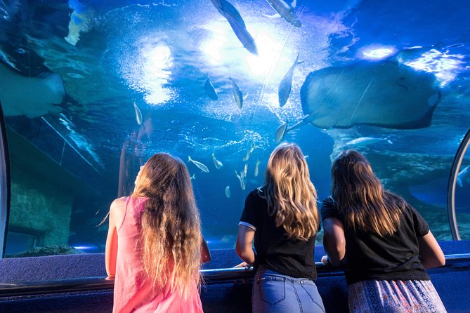 The Aquarium of Western Australia General Admission Ticket  - Perth - Good To Know