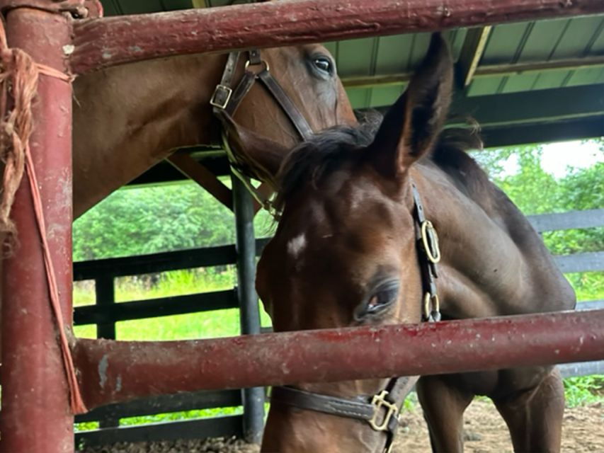 The BEST Kentucky Tours and Things to Do - Good To Know