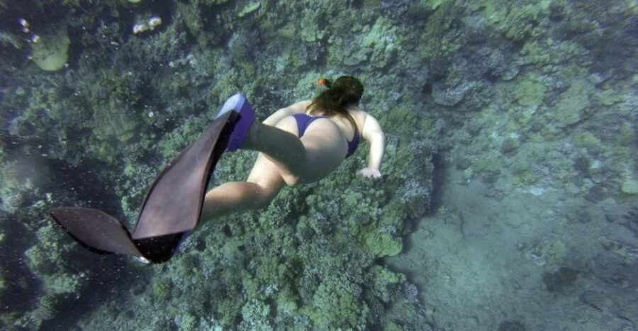 The BEST Oahu Tours and Things to Do - Top Water Activities