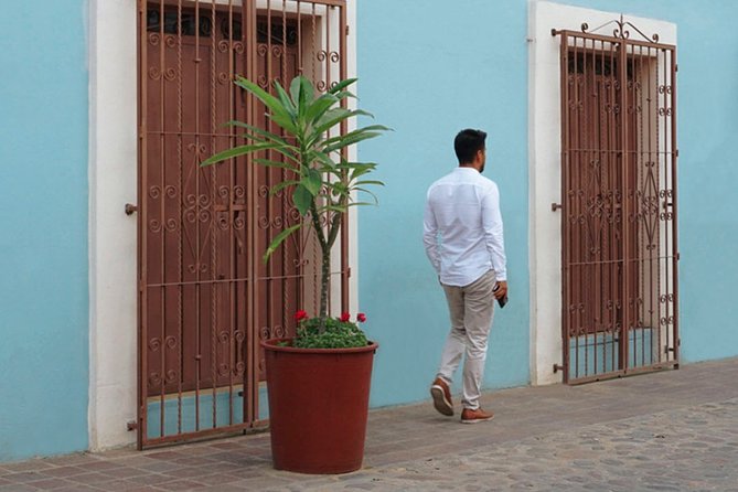 The Best of Oaxaca Walking Tour & Mezcal Tasting - Reviews