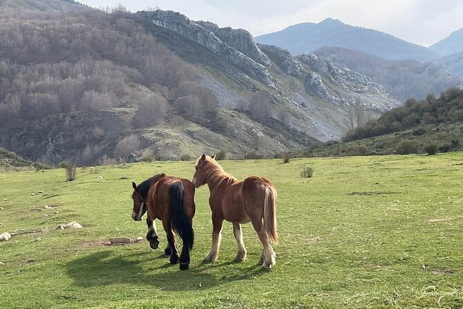 The Best of the Picos De Europa and Surroundings in 4 Days of Trekking - Day 1: Arrival and Transfer